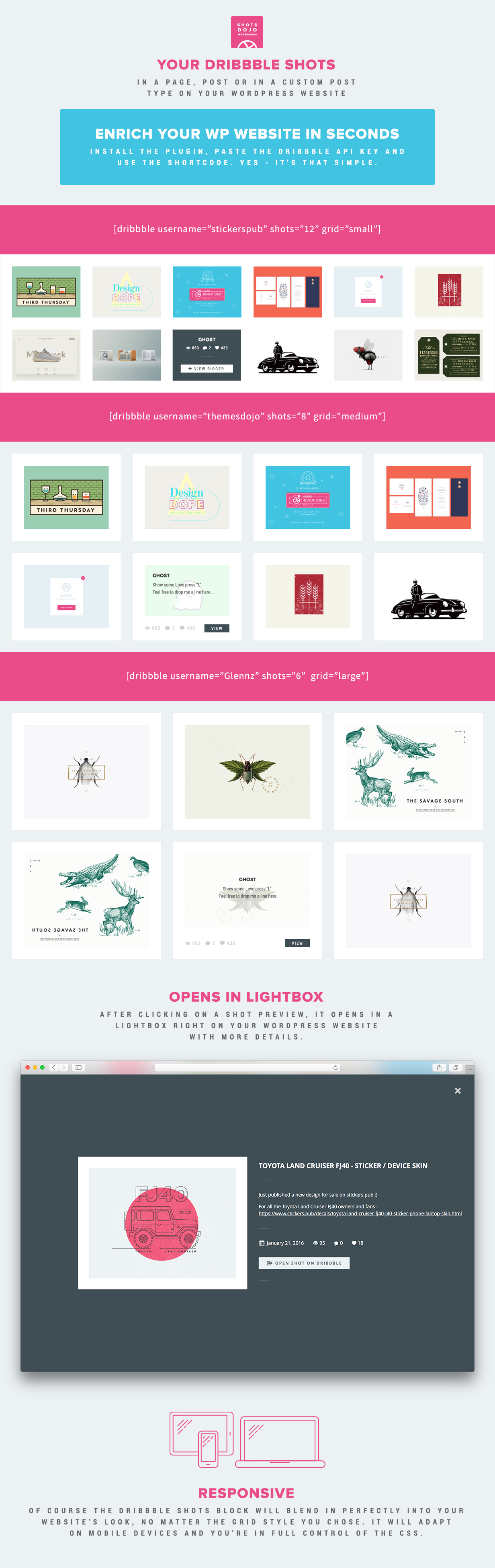 WPSHOTSDOJO - Plugin do Portofolio WordPress de Dribbble Shots - 7