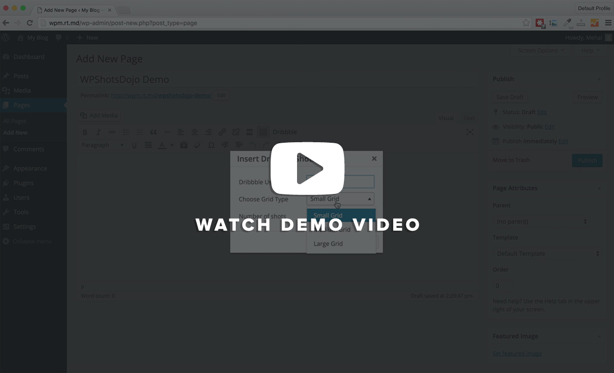 WPSHOTSDOJO - Plugin do Portofolio WordPress de Dribbble Shots - 6